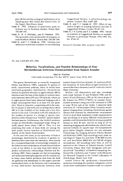 Behavior, Vocalizations, and Possible Relationships of Four