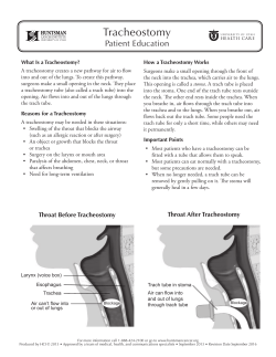 Tracheostomy - University of Utah Health Care