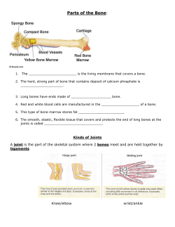 Parts of the Bone kinds of joints