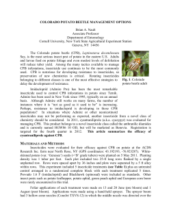 Colorado Potato Beetle Management