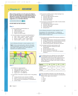 Photosynthesis Review