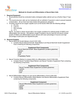 Methods for Growth and Differentiation of Neural Stem Cells