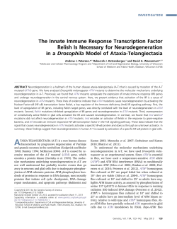 The Innate Immune Response Transcription Factor Relish Is