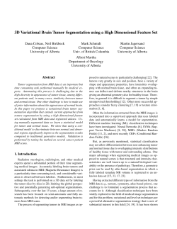 3D Variational Brain Tumor Segmentation using