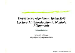 Full-size PDF slides