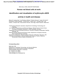 Human red blood cells at work: identification and