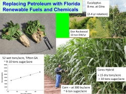 Replacing Petroleum with Florida Renewable Fuels and Chemicals