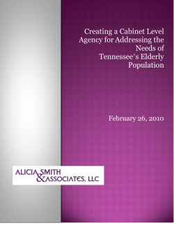 Creating a Cabinet Level Agency for Addressing the Needs