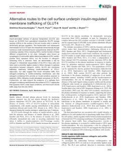 Alternative routes to the cell surface underpin insulin