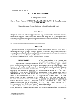 CRYPTORCHIDISM IN DOG (small, diminutive). The terms