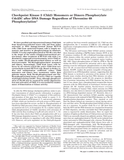 Checkpoint Kinase 2 (Chk2) Monomers or Dimers Phosphorylate