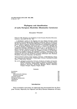 Phylogeny and classification of early European Mustelida