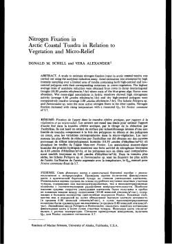 Nitrogen Fixation in Arctic Coastal Tundra in Relation to Vegetation