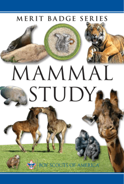 mammal study
