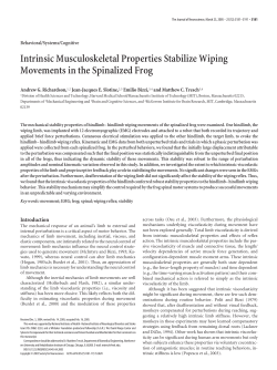 Intrinsic Musculoskeletal Properties Stabilize Wiping