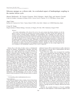 Maldonado, Manuel, et al. Siliceous sponges as a silicon sink: An