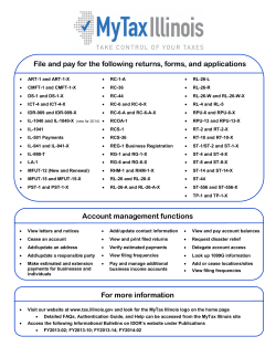 File and pay for the following returns, forms, and applications