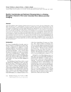 Benthic Invertebrates and Sediment Characteristics ina Shallow