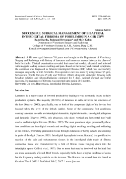 successful surgical management of bilateral interdigital fibroma of