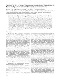 The Gene Orders on Human Chromosome 15 and Chicken