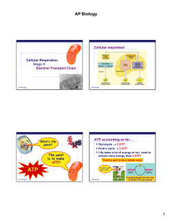 AP Biology - TeacherWeb
