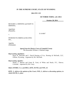 IN THE SUPREME COURT, STATE OF WYOMING