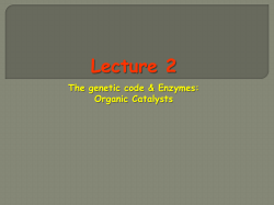 Enzymes - MSA Scholar