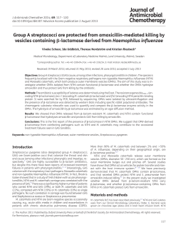 Group A streptococci are protected from amoxicillin