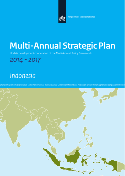Multi-Annual Strategic Plan Indonesia 2014 - 2017