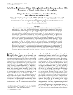 Early Gene Duplication Within Chloroplastida and Its