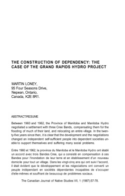 the construction of dependency: the case of the grand rapids hydro