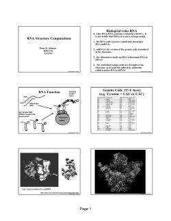 RNA Structure Computations