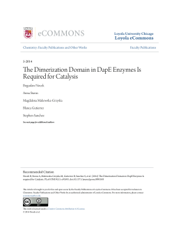 The Dimerization Domain in DapE Enzymes Is Required for Catalysis