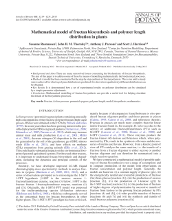 Mathematical model of fructan biosynthesis and