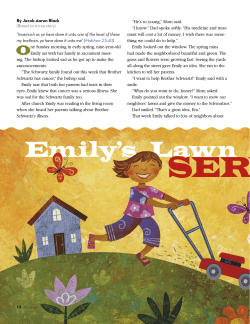 Emily`s Lawn Service