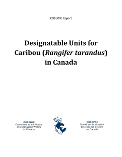 Designatable Units for Caribou