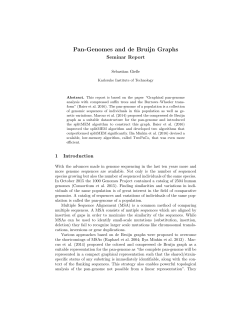 Pan-Genomes and de Bruijn Graphs