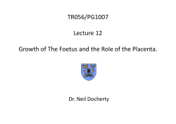 PG1007 Lecture 12 Growth of the Foetus and the Role of The Placenta