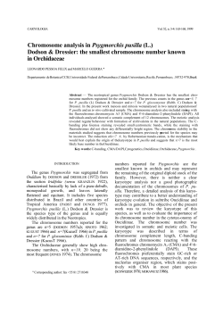 Chromosome analysis in Psygmorchis pusilla (L.) Dodson
