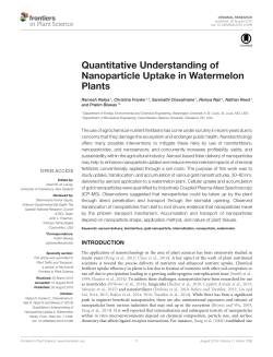 Quantitative Understanding of Nanoparticle Uptake in Watermelon