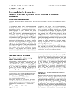Gene regulation by tetracyclines