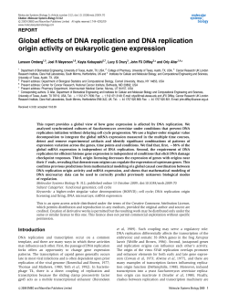 Global effects of DNA replication and DNA replication