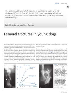 Femoral fractures in young dogs