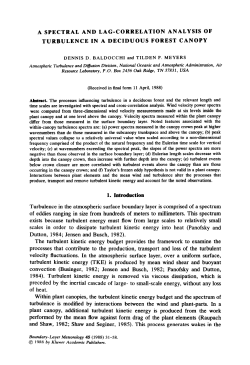 A spectral and lag-correlation analysis of turbulence in a deciduous