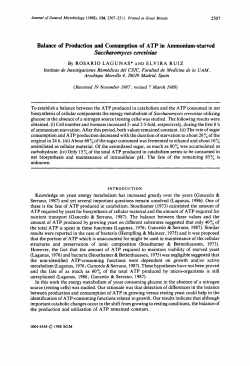 Balance of Production and Consumption of ATP in