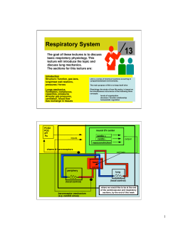 Basis of Respiratory System Mechanics