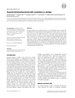 Toward minimal bacterial cells: evolution vs. design