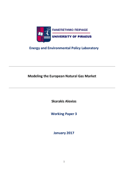 See PDF here - ENERGY AND ENVIRONMENTAL POLICY
