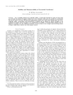 Stability and Manoeuvrability of Terrestrial Vertebrates1