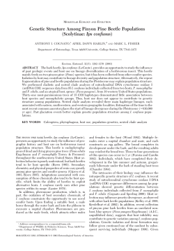 Genetic Structure Among Pinyon Pine Beetle Populations